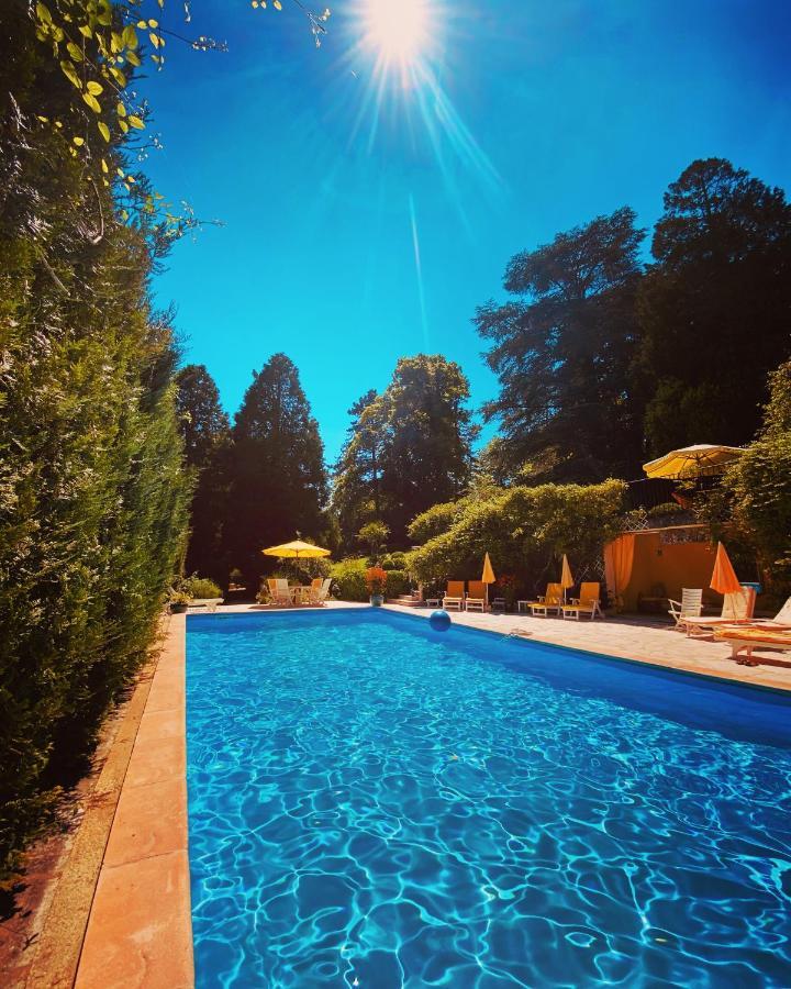 Manoir Des Cavaliers - Bnb Chantilly Exterior photo